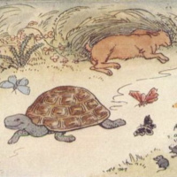 Episódio 48 devagar se vai ao longe