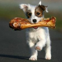 Episode 04 ter mais olhos que barriga