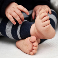 Episódio 76 meter os pés pelas mãos