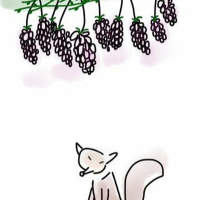 quem desdenha quer comprar