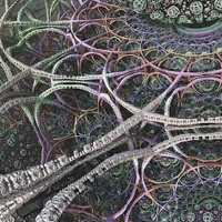 Episódio 20 a torto e a direito