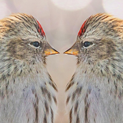 Say It In Portuguese