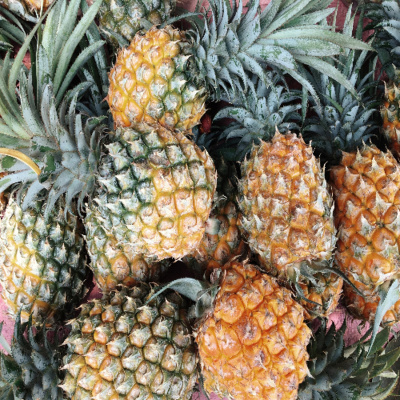 Say It In Portuguese