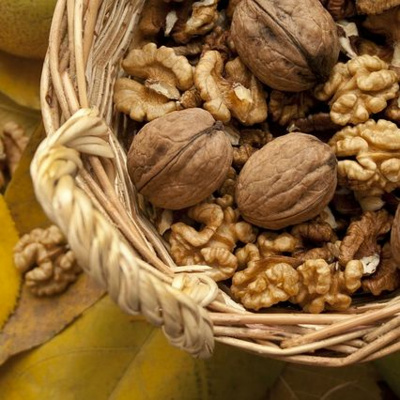 Say It In Portuguese