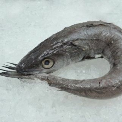 Say It In Portuguese