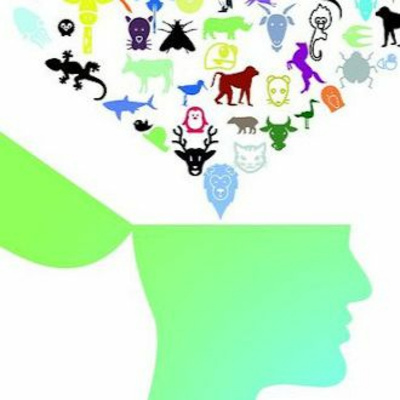 Say It In Portuguese