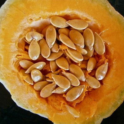 Say It In Portuguese