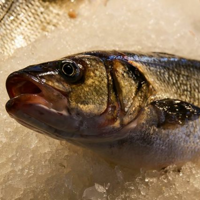 Say It In Portuguese