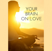 080 Your Brain On Love