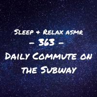The Daily Commute on the Subway