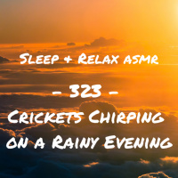 Crickets Chirping on a Rainy Evening