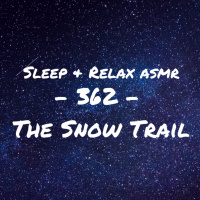 The Snow Walk
