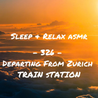 Departing from Zürich Bus Station (30 Minute Recording)