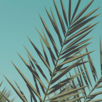 Princípio da Ressurreição [Princípios #103]