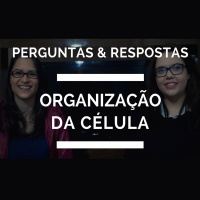 [Perguntas  Respostas] Organização da Célula