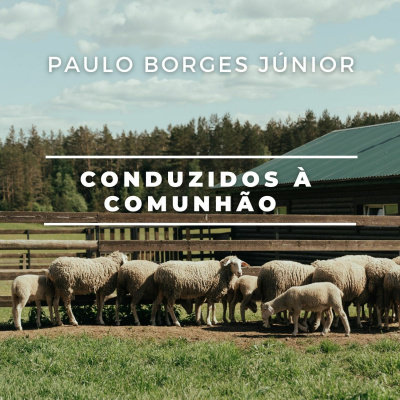 Adoradores Desqualificados