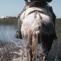 Mediterráneo - Formentera20 y La Marisma. Vuelta a los Orígenes - 27/07/25