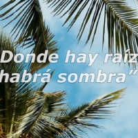 Mediterráneo - La Gomera y Lanzarote. Silbo y un tapiz de refranes - 04/01/26