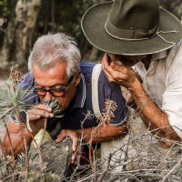 Mediterráneo - Husmear el Mediterráneo. Ernesto Collado, a qué huelen nuestras culturas y nuestras vidas - 20/07/25