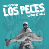 Concepto 192 | LOS PECES (Parte 2)