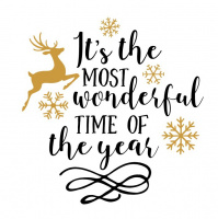 Most Wonderful Time of the Year