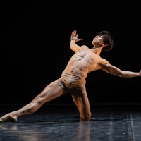 Tanz heute: Zwischen Avantgarde und Nützlichkeitsfalle