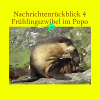 Nachrichtenrückblick 4: Frühlingszwiebel im Popo