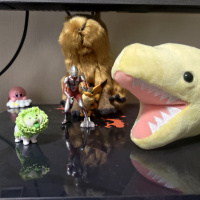 Aal 21: Der Chinakohlhund aus der Gachahölle