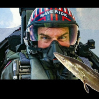 Aal 23: Der Schnitt interessiert sich nicht für Raum und Zeit