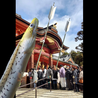 Kompendium Des Unbehagens