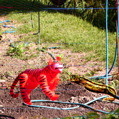 Kompendium Des Unbehagens