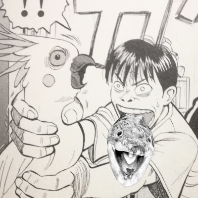 Kompendium Des Unbehagens