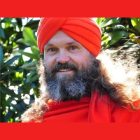 Dada Nabhaniilananda - The Monk Dude