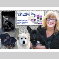 Kathy Dannel Vitcak - The Blissful Dog
