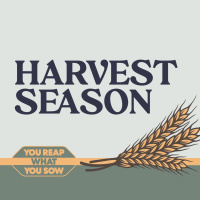 You Reap What You Sow | Andrew Hunt