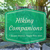 Ep10: Hiking Companions: 7 Unique Animals People Hike With
