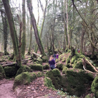 Ep9: Exploring the Magical Woods of Puzzlewood