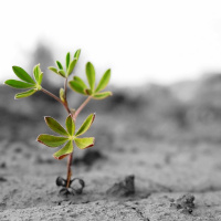 Uma mensagem de esperança