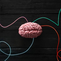 episode 64: adventures in thought distortions