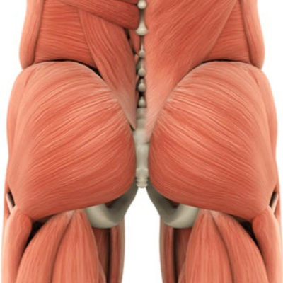 Health Science (for The Rest Of Us!)