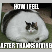 HAPPY THANKSGIVING FROM SHANE!