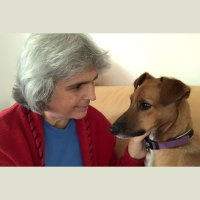 Tierkommunikation: Reden mit Tieren. Paloma Bärtschi #791