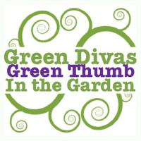 Green Divas Green Thumb: mapping out your garden