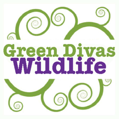 50 Shades Of Green Divas