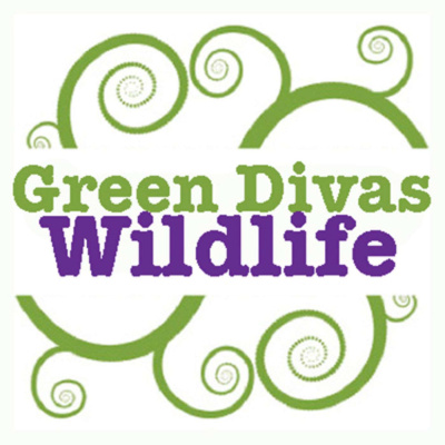 50 Shades Of Green Divas