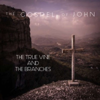 The Gospel Of John - The True Vine And The Branches