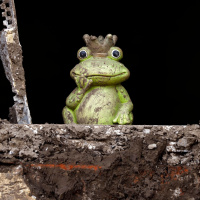 Zurück auf Los - Neuanfang und zweite Chance