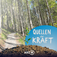Quellen der Kraft - Draußen sein