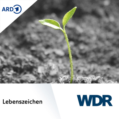 Wdr Lebenszeichen
