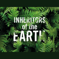 Chapter 237: Inheritors of the Earth 